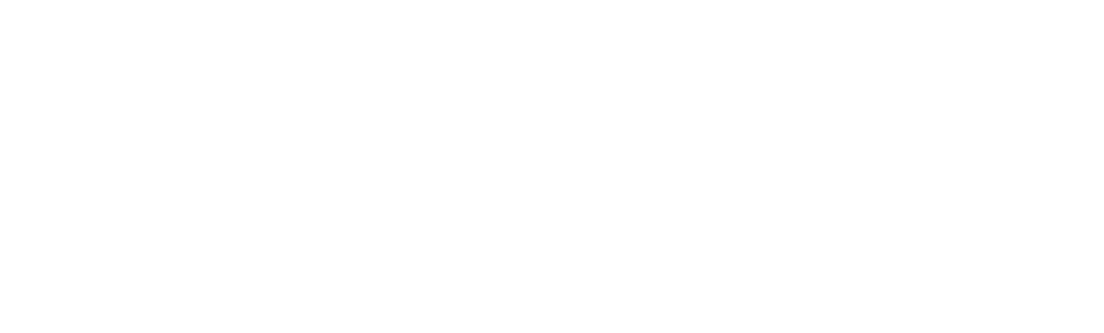 janus.ai